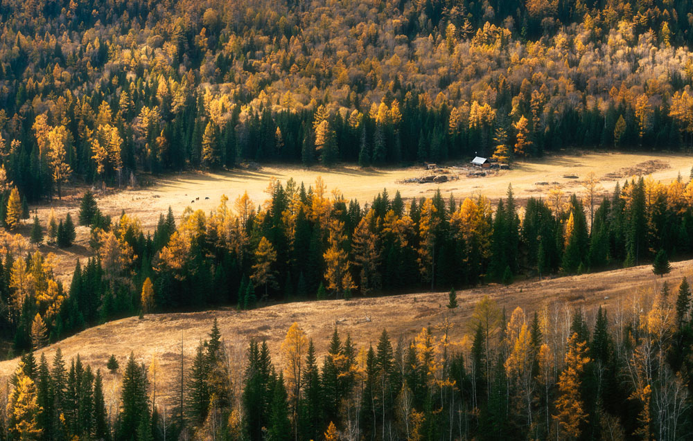 南疆8日秘境之旅:穿越千年古城、邂逅高原圣湖,解锁你的西域奇幻梦!