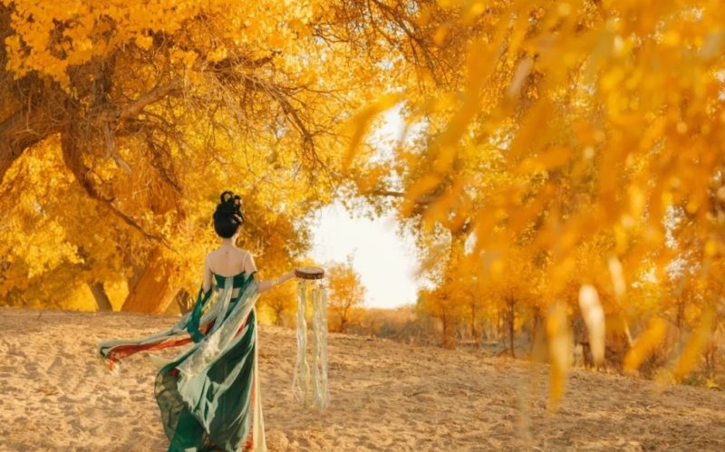 巴楚胡杨林-新疆中国国旅