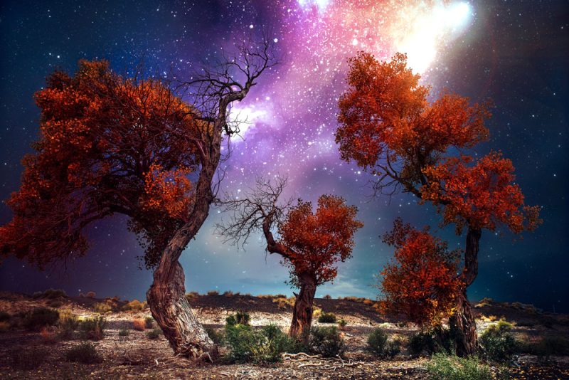 新疆中国国际旅行社——专业打造高品质新疆旅游体验-新疆中国国旅