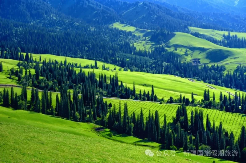 新疆跟团已回，教大家如何选团跟避雷！-新疆中国国旅