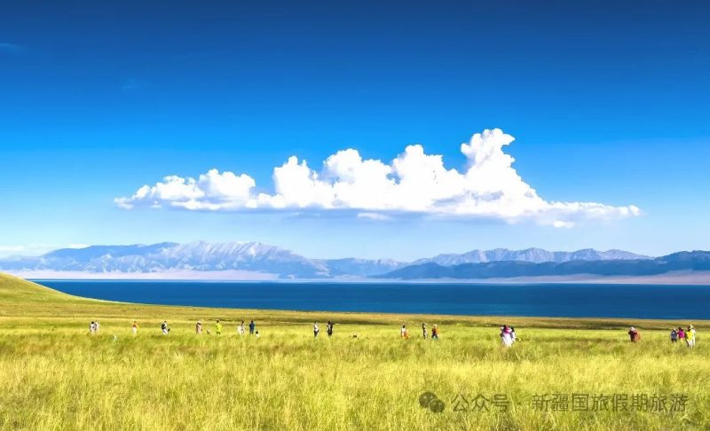 上合组织国家媒体合作论坛缘何落地新疆-新疆中国国旅