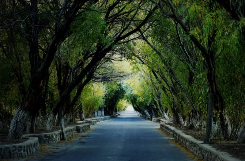 树洞公路-新疆中国国旅