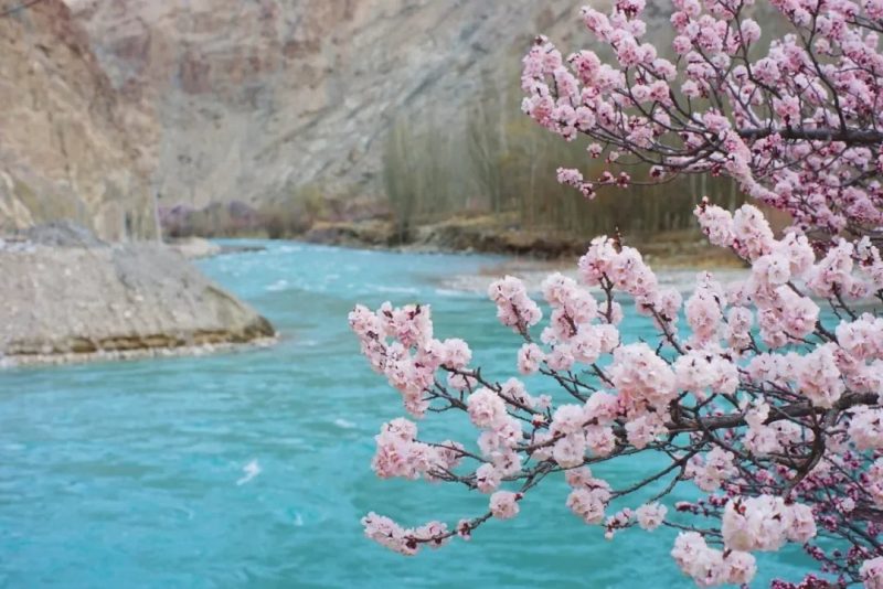 杏花村幸福5号桥-新疆中国国旅