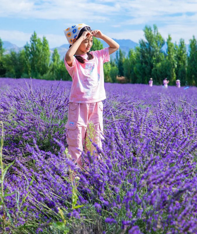 2026年新疆旅行社排行：哪家值得选？新疆国旅凭什么稳居榜首？-新疆中国国旅